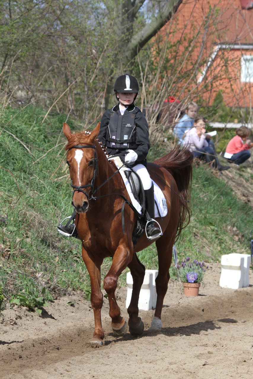 Bild 925 - WBO-Turnier am 9.4.11